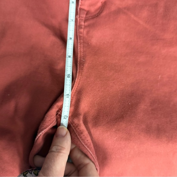 Curve Appeal Rust Skinny Pants Size 20W Plus Stretch - Picture 11 of 11